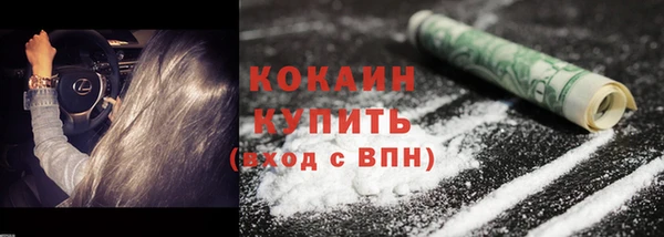 твердый Рыльск