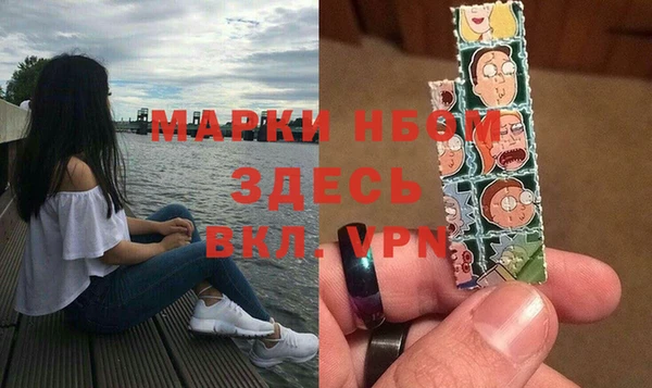 ПСИЛОЦИБИНОВЫЕ ГРИБЫ Вяземский