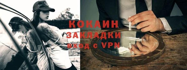 крисы Сатка