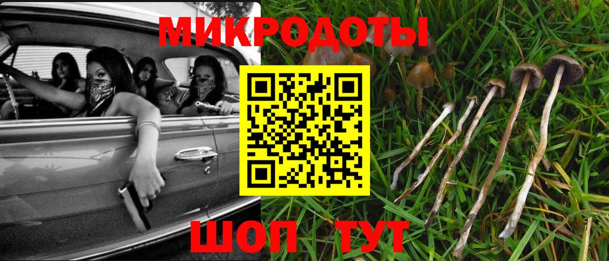 Галлюциногенные грибы Psilocybe Саров