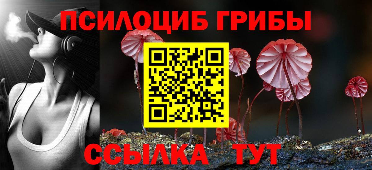 Саров  Галлюциногенные грибы MAGIC MUSHROOMS  Вход с VPN  Галлюциногенные грибы ЛСД 